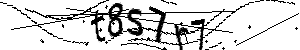 Anti-Bot verification code image